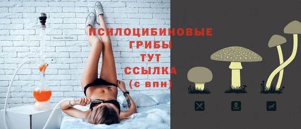 мяу мяу мука Алзамай