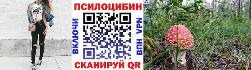 Галлюциногенные грибы GOLDEN TEACHER Ижевск