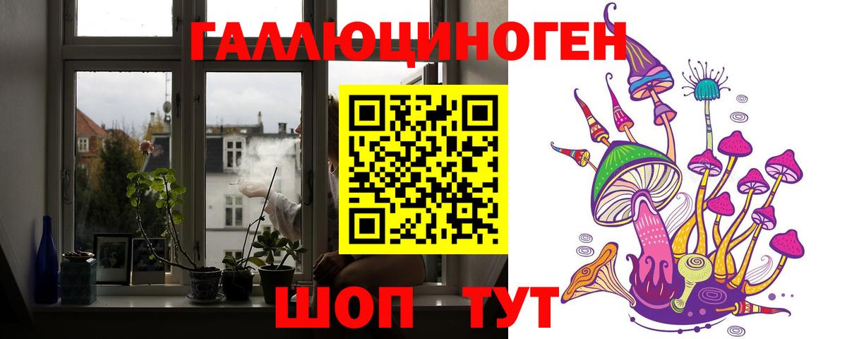 Ижевск  Галлюциногенные грибы Psilocybe  Вход с VPN 
