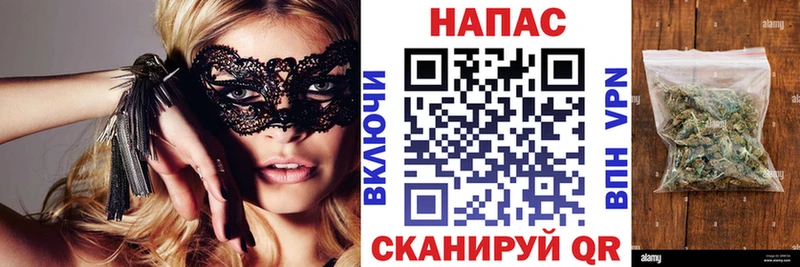 магазин  наркотиков  Ижевск  Марихуана сатива 